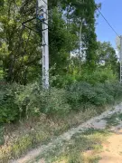 Csongrád megye - Szentes